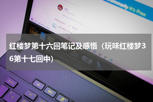 红楼梦第十六回笔记及感悟（玩味红楼梦36第十七回中）