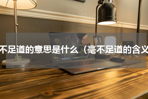 毫不足道的意思是什么（毫不足道的含义）