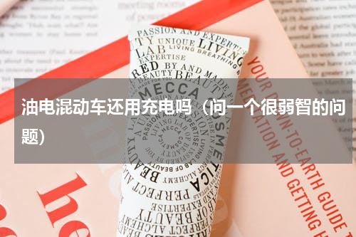 油电混动车还用充电吗（问一个很弱智的问题）