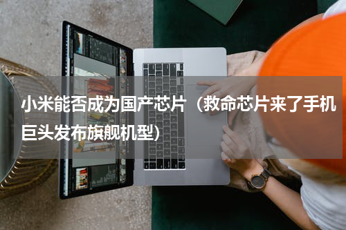 小米能否成为国产芯片（救命芯片来了手机巨头发布旗舰机型）