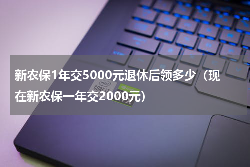 新农保1年交5000元退休后领多少（现在新农保一年交2000元）
