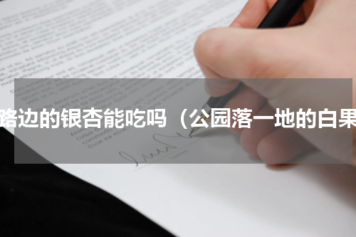 马路边的银杏能吃吗（公园落一地的白果）