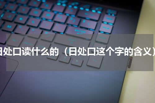 日处口读什么的（日处口这个字的含义）