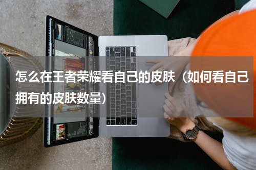 怎么在王者荣耀看自己的皮肤（如何看自己拥有的皮肤数量）