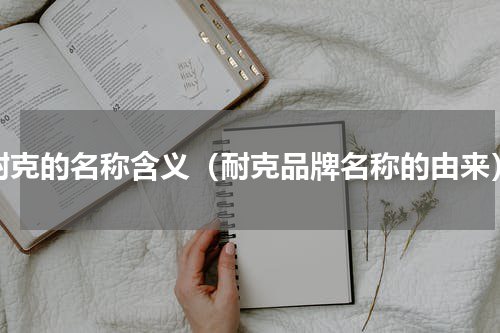 耐克的名称含义（耐克品牌名称的由来）