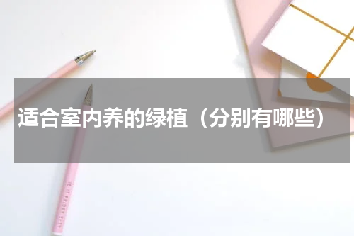 适合室内养的绿植（分别有哪些）
