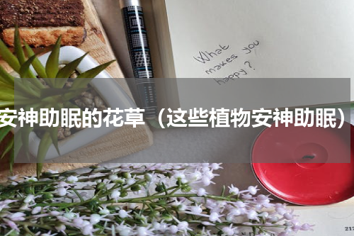 安神助眠的花草（这些植物安神助眠）