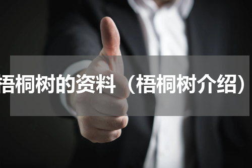 梧桐树的资料（梧桐树介绍）