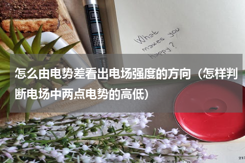 怎么由电势差看出电场强度的方向（怎样判断电场中两点电势的高低）