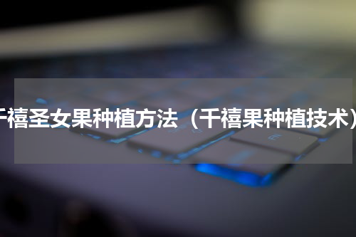 千禧圣女果种植方法（千禧果种植技术）