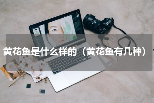 黄花鱼是什么样的（黄花鱼有几种）