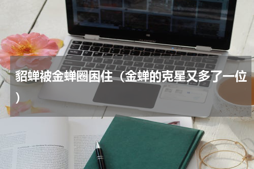 貂蝉被金蝉圈困住（金蝉的克星又多了一位）