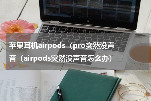 苹果耳机airpods（pro突然没声音（airpods突然没声音怎么办）