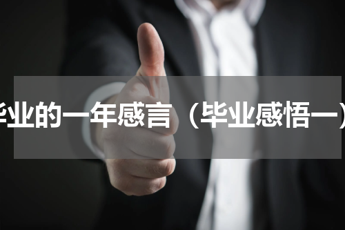 毕业的一年感言（毕业感悟一）
