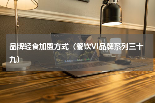 品牌轻食加盟方式（餐饮VI品牌系列三十九）