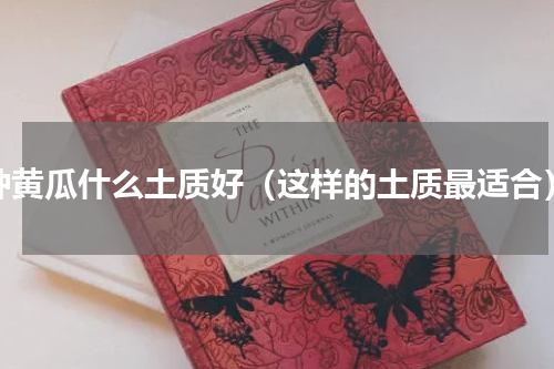 种黄瓜什么土质好（这样的土质最适合）