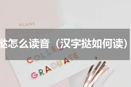 挞怎么读音（汉字挞如何读）