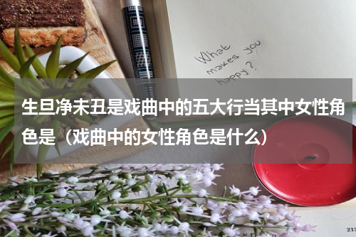 生旦净未丑是戏曲中的五大行当其中女性角色是（戏曲中的女性角色是什么）