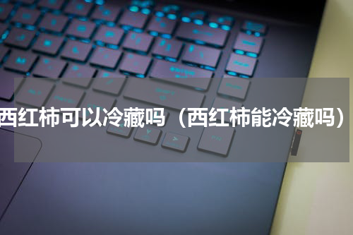 西红柿可以冷藏吗（西红柿能冷藏吗）