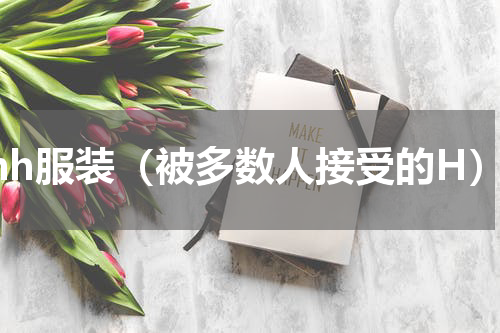 mh服装（被多数人接受的H）