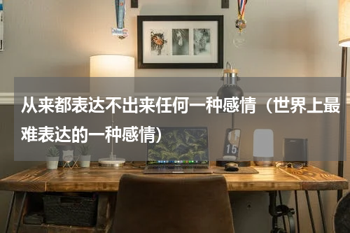 从来都表达不出来任何一种感情（世界上最难表达的一种感情）