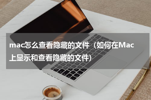 mac怎么查看隐藏的文件（如何在Mac上显示和查看隐藏的文件）