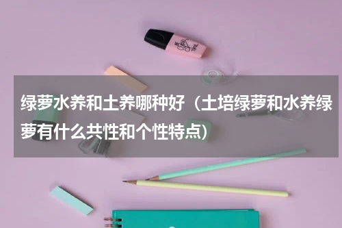 绿萝水养和土养哪种好（土培绿萝和水养绿萝有什么共性和个性特点）