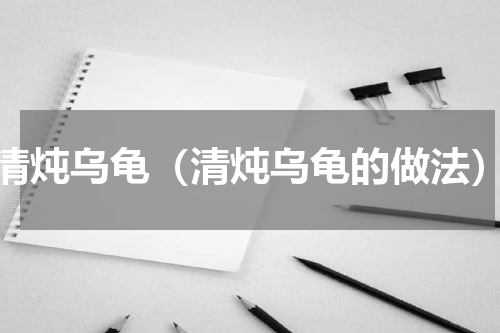 清炖乌龟（清炖乌龟的做法）