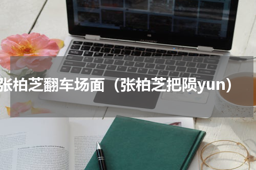 张柏芝翻车场面（张柏芝把陨yun）