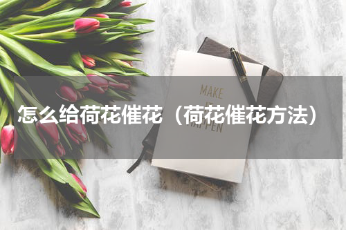 怎么给荷花催花（荷花催花方法）