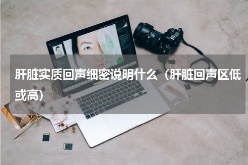 肝脏实质回声细密说明什么（肝脏回声区低或高）