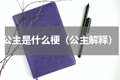 公主是什么梗（公主解释）