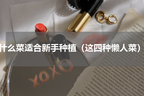 什么菜适合新手种植（这四种懒人菜）