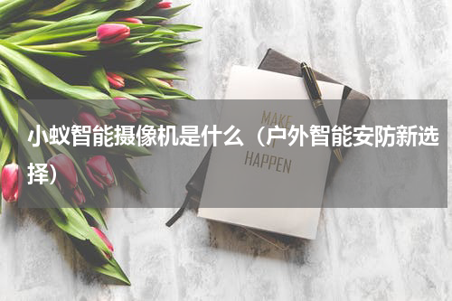 小蚁智能摄像机是什么（户外智能安防新选择）