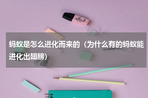 蚂蚁是怎么进化而来的（为什么有的蚂蚁能进化出翅膀）