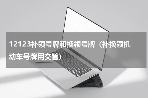 12123补领号牌和换领号牌（补换领机动车号牌用交管）