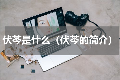伏芩是什么（伏芩的简介）
