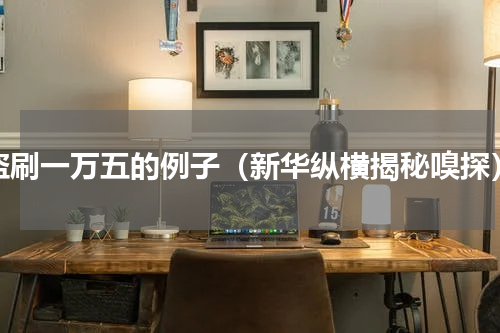 盗刷一万五的例子（新华纵横揭秘嗅探）