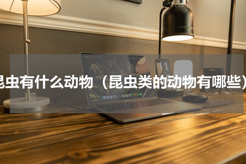 昆虫有什么动物（昆虫类的动物有哪些）