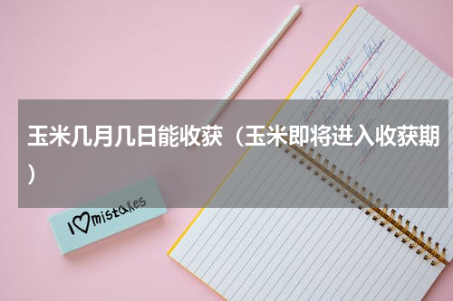 玉米几月几日能收获（玉米即将进入收获期）