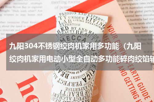 九阳304不锈钢绞肉机家用多功能（九阳绞肉机家用电动小型全自动多功能碎肉绞馅辅食机料理机大容量）