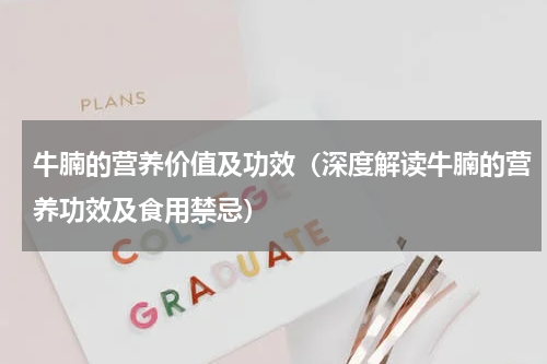 牛腩的营养价值及功效（深度解读牛腩的营养功效及食用禁忌）