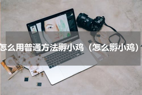 怎么用普通方法孵小鸡（怎么孵小鸡）