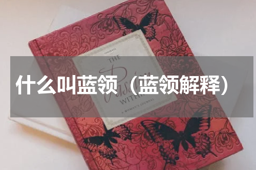 什么叫蓝领（蓝领解释）