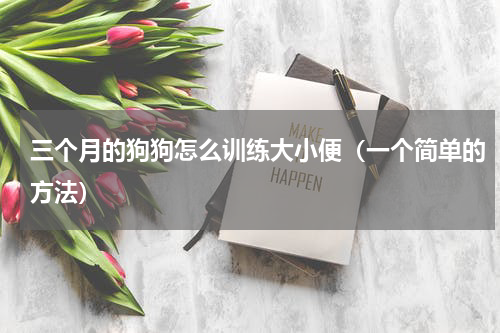 三个月的狗狗怎么训练大小便（一个简单的方法）