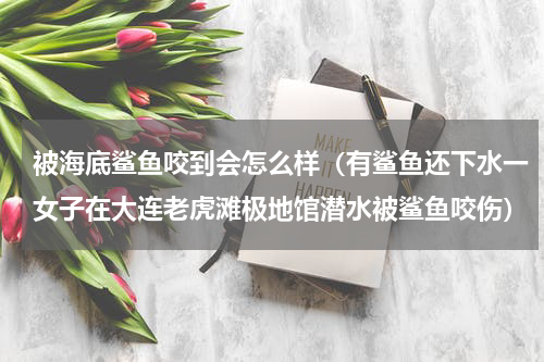被海底鲨鱼咬到会怎么样（有鲨鱼还下水一女子在大连老虎滩极地馆潜水被鲨鱼咬伤）
