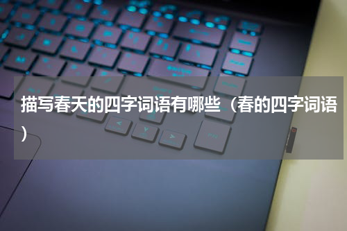描写春天的四字词语有哪些（春的四字词语）
