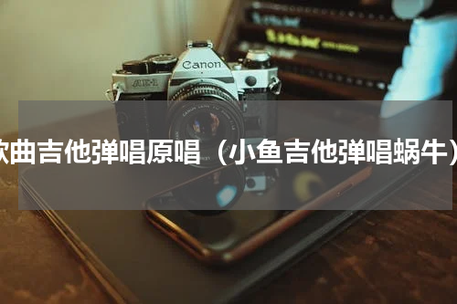 歌曲吉他弹唱原唱（小鱼吉他弹唱蜗牛）