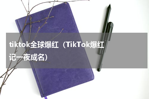 tiktok全球爆红（TikTok爆红记一夜成名）
