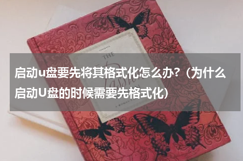 启动u盘要先将其格式化怎么办?（为什么启动U盘的时候需要先格式化）